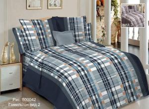 500042 Гамильтон вид 2